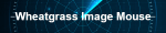 Product Radar Header – Wheatgrass Image&nbsp;Mouse